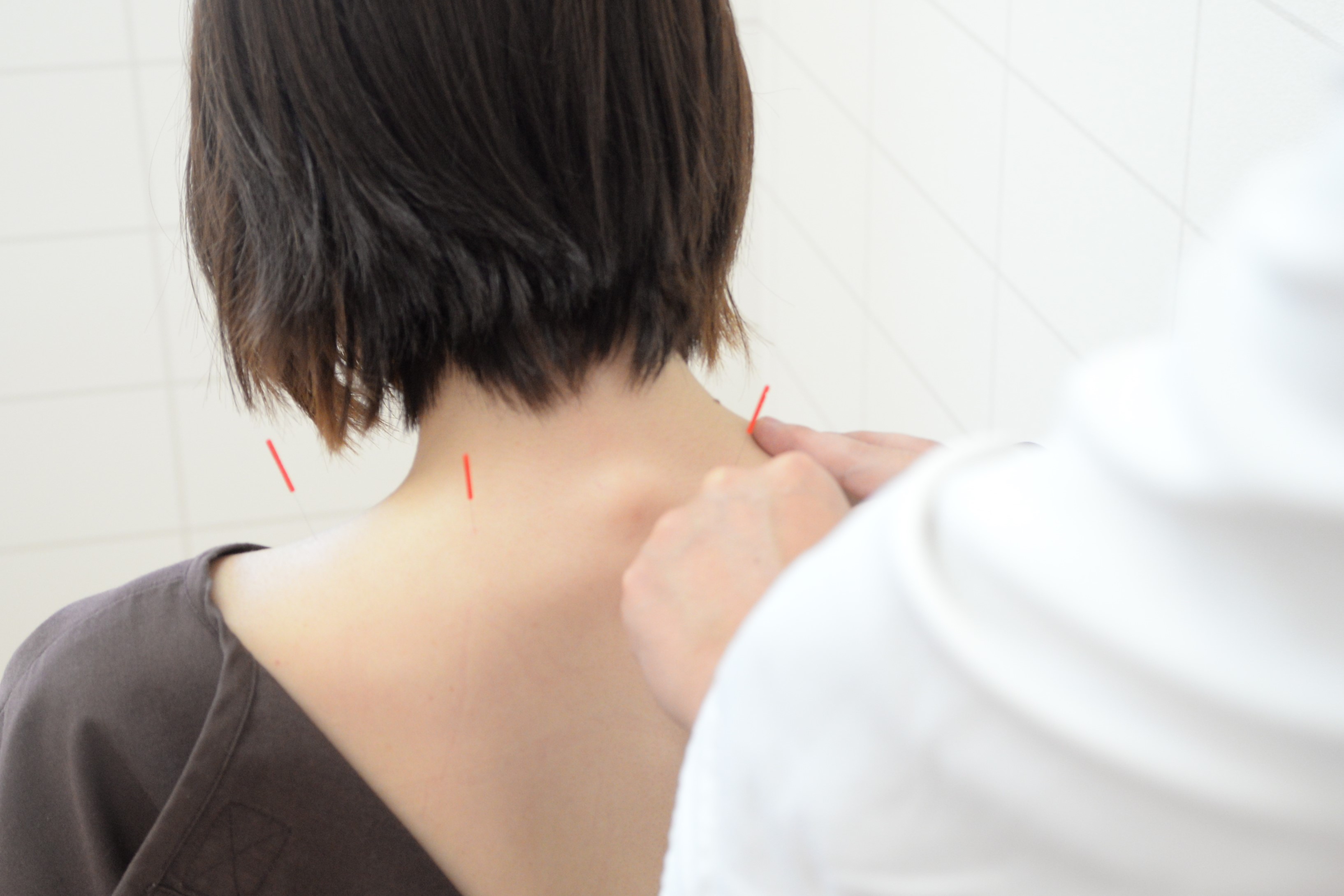 鳥取県鳥取市にある鍼師・灸師、マッサージ師求人
